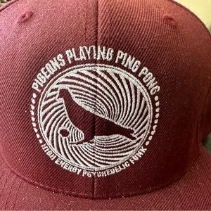 Pigeons playing ping pong band hat adjustable brand new never worn.
